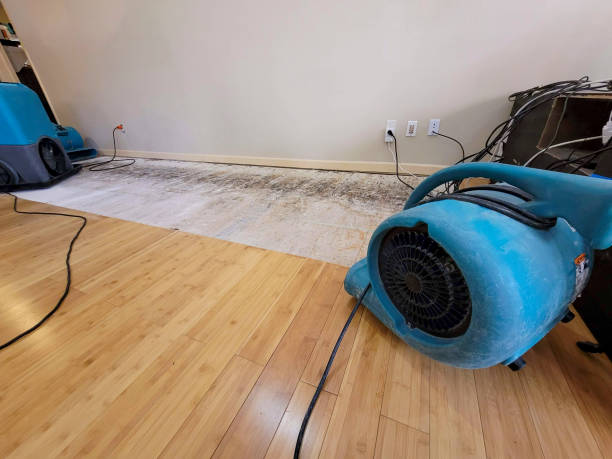 Professional Burst Pipe Water Damage technician working in Linden, CA